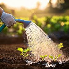 Fichier attaché01.bmp